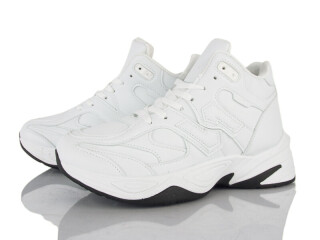 H83-4, 8 (40-45), <strong>730</strong>, зима