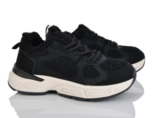 CE22-1, 8 (37-41), <strong>680</strong>, зима