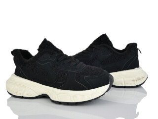 CE33-1, 8 (37-41), <strong>680</strong>, зима