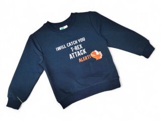 17159 чорний, 4 (1-3), <strong>4</strong>, демісезон