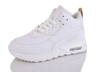 T176-6, 8 (37-41), <strong>480</strong>, зима