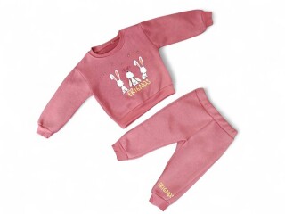 3453 цегляний реглан-штани, 4 (2-5), <strong>8.5</strong>, зима