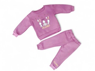 3453 рожевий реглан-штани, 4 (2-5), <strong>8.5</strong>, зима