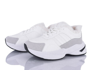 216-46, 8 (36-41), <strong>570</strong>, зима