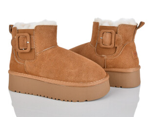 309-2, 6 (37-41), <strong>550</strong>, зима