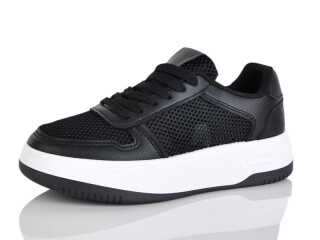 MD2-1, 8 (36-41), <strong>590</strong>, літо