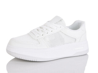 MD2-2, 8 (36-41), <strong>590</strong>, літо