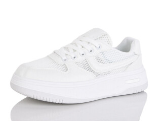 MD5-3, 8 (36-41), <strong>590</strong>, літо