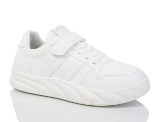 XF01-535-008, 8 (32-37), <strong>305</strong>