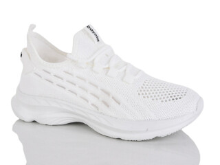 B5296-2, 8 (36-41), <strong>460</strong>, літо