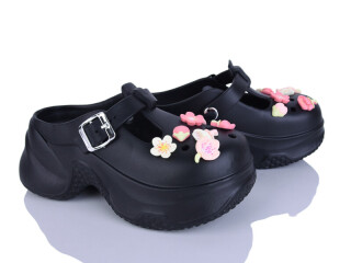 QQ89-1, 6 (36-41), <strong>430</strong>, літо