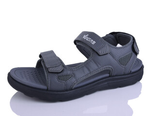 A529-3, 8 (41-46), <strong>11</strong>, літо