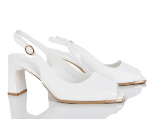 TT50-28, 6 (36-40), <strong>720</strong>, літо