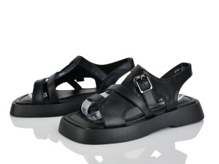 E731-1, 8 (36-41), <strong>650</strong>, літо