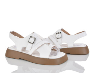 E731-2, 8 (36-41), <strong>650</strong>, літо