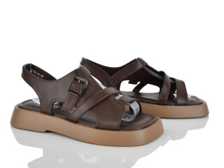 E731-5, 8 (36-41), <strong>650</strong>, літо