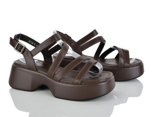 E739-5, 8 (36-41), <strong>650</strong>, літо