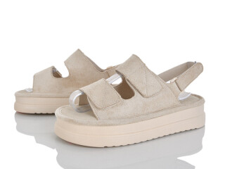 Y095-1, 8 (36-41), <strong>670</strong>, літо