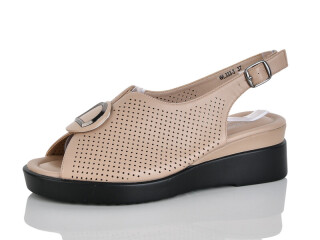 WL333-3, 8 (36-41), <strong>550</strong>, літо