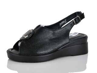 WL333-5, 8 (36-41), <strong>550</strong>, літо