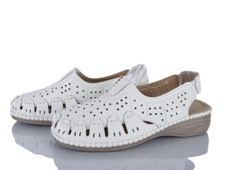 181-2, 8 (37-42), <strong>400</strong>, літо