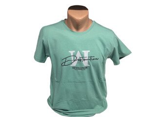 C002 м'ята, 4 (M-2XL), <strong>6.2</strong>, літо