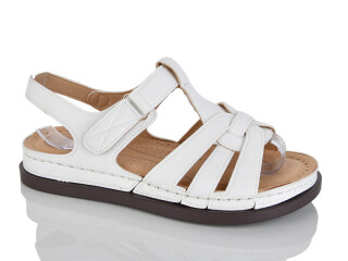 608-2, 8 (37-42), <strong>430</strong>, літо