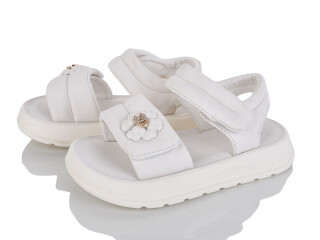 XD607-2C, 8 (27-32), <strong>480</strong>, літо