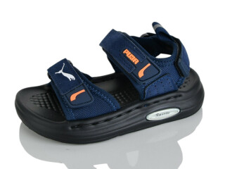 T66-2, 10 (21-25), <strong>460</strong>, літо