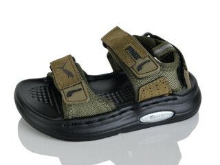 T66-5, 10 (21-25), <strong>460</strong>, літо