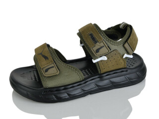 R86-5, 10 (32-37), <strong>560</strong>, літо