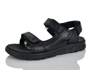 A536-1, 8 (41-46), <strong>12</strong>, літо