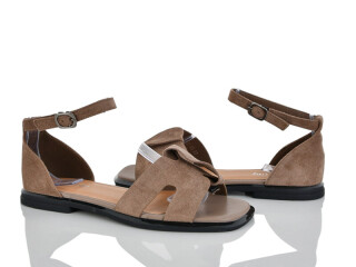 2817-35, 8 (36-41), <strong>580</strong>, літо