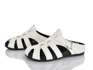 N80-2, 8 (36-41), <strong>590</strong>, літо