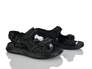 B056-51, 8 (36-41), <strong>440</strong>, літо