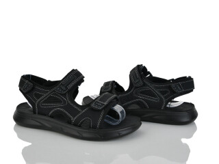 B058-55, 8 (36-41), <strong>440</strong>, літо