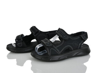 C0560-53, 8 (32-37), <strong>420</strong>, літо