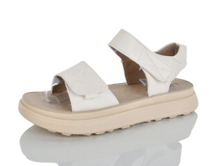 19-9, 8 (36-41), <strong>460</strong>, літо