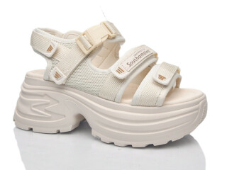 753, 8 (36-41), <strong>650</strong>, літо