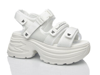 753-2, 8 (36-41), <strong>650</strong>, літо