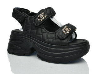 751-1, 8 (36-41), <strong>650</strong>, літо