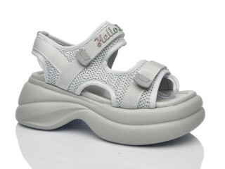 765-5, 8 (36-41), <strong>650</strong>, літо