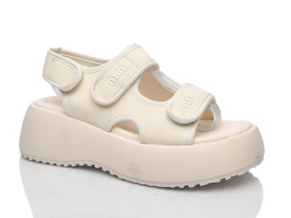 726, 8 (36-41), <strong>570</strong>, літо