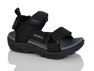 1661-1, 8 (26-31), <strong>350</strong>, літо