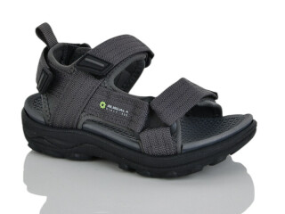 1661-2, 8 (26-31), <strong>350</strong>, літо