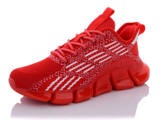 B3341-5, 8 (36-41), <strong>13</strong>, літо