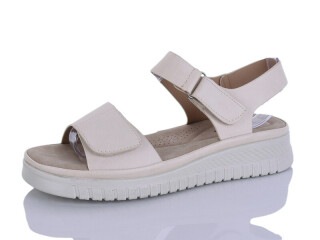 180-2, 8 (37-41), <strong>480</strong>, літо