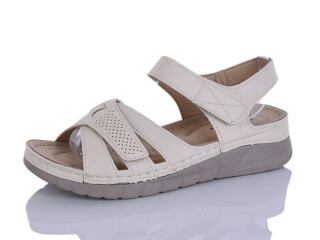 160-2, 8 (37-42), <strong>460</strong>, літо