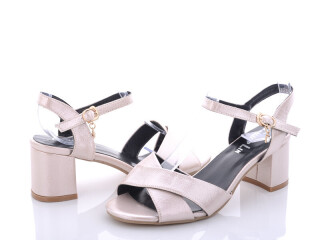 E237, 8 (36-41), <strong>100</strong>, літо