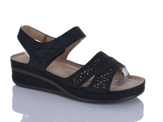 169-1, 8 (37-42), <strong>400</strong>, літо